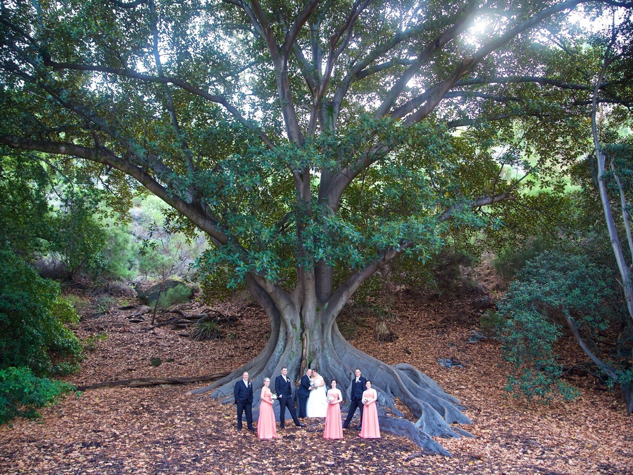 Take Ya Pick Photography