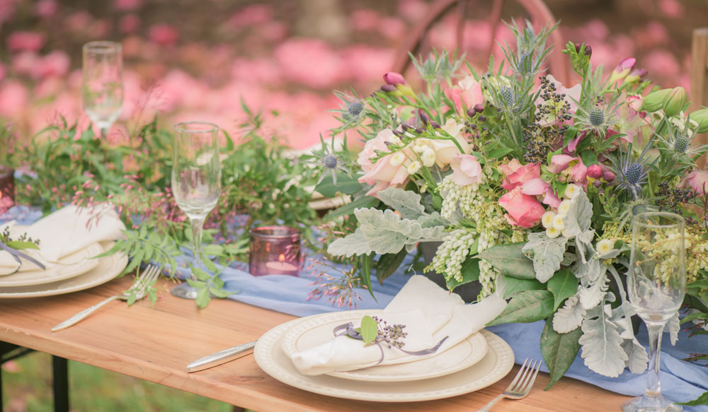 The Hope & Willow Collective