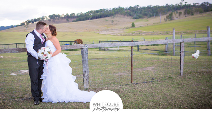 White Cube Photography