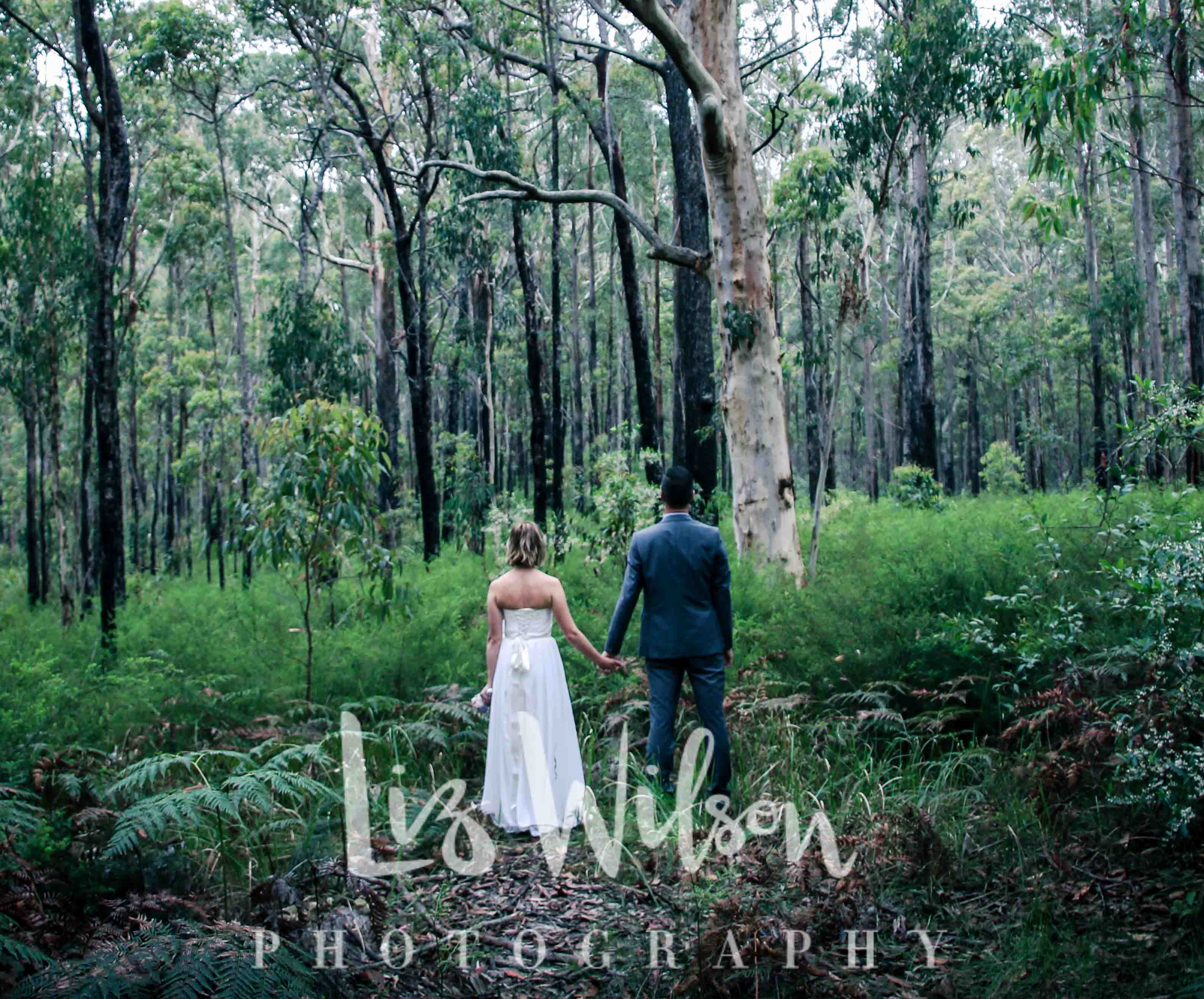 Liz Wilson Photography