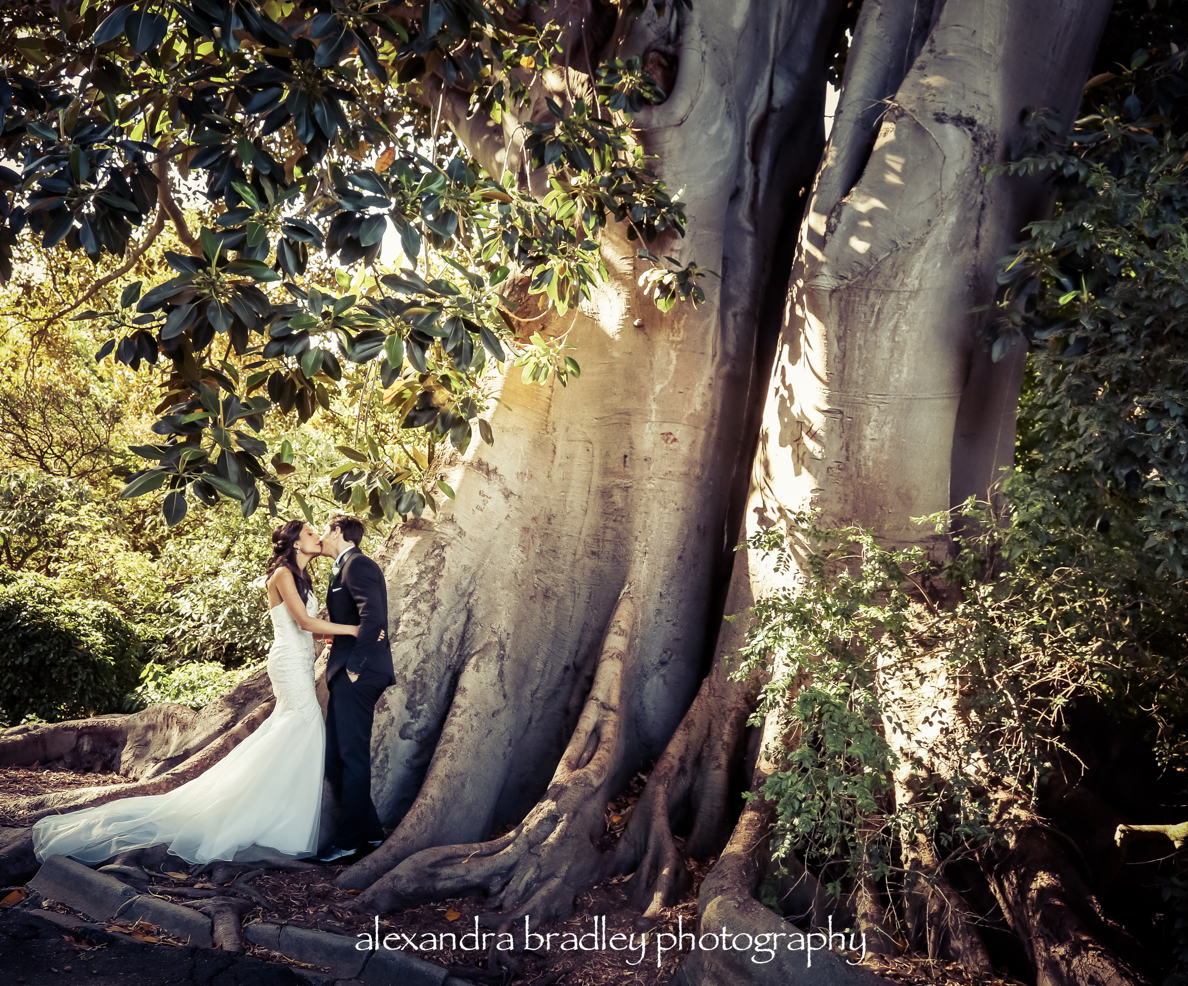 Alexandra Bradley Photography