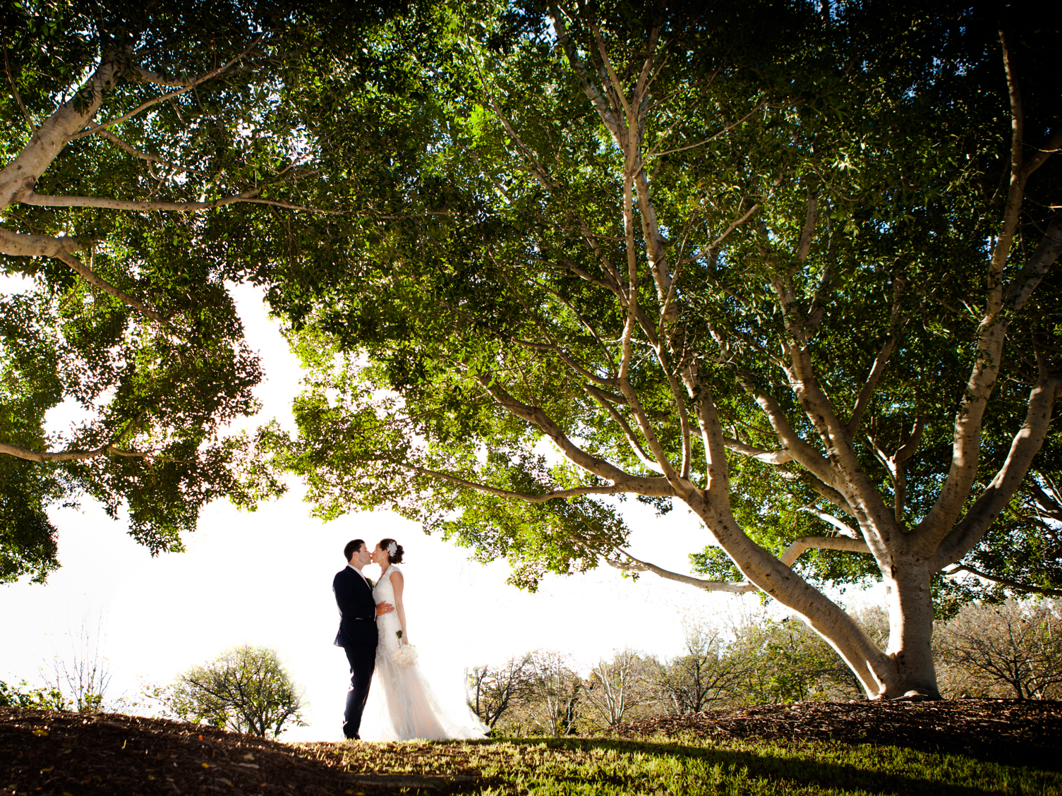 Manrico Adamo Photography