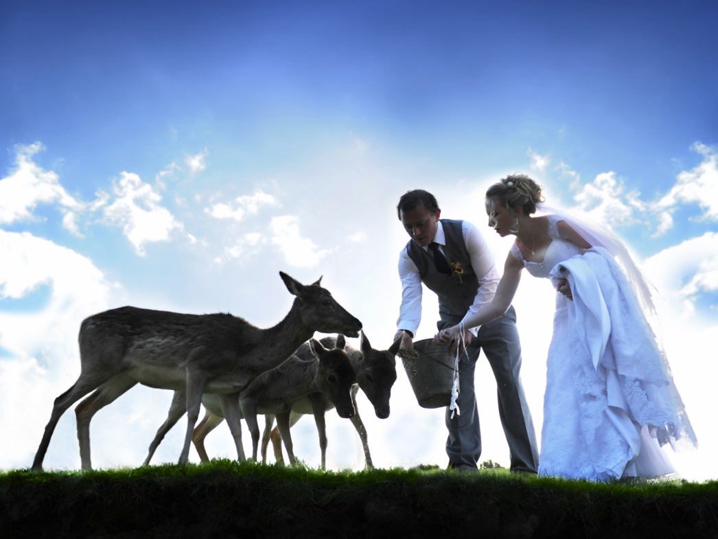 Robyn Slavin Photography + Design