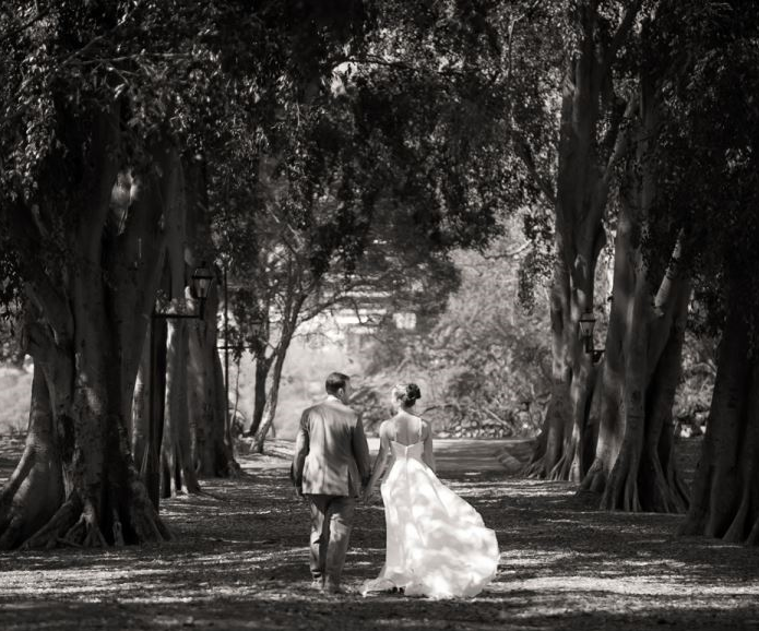 Red Apple Photography