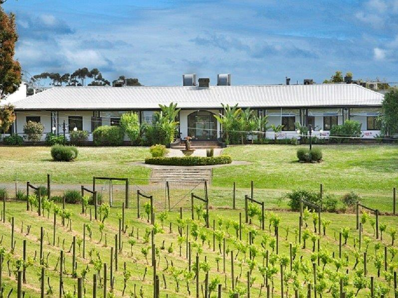 All Smiles Of The Yarra Valley