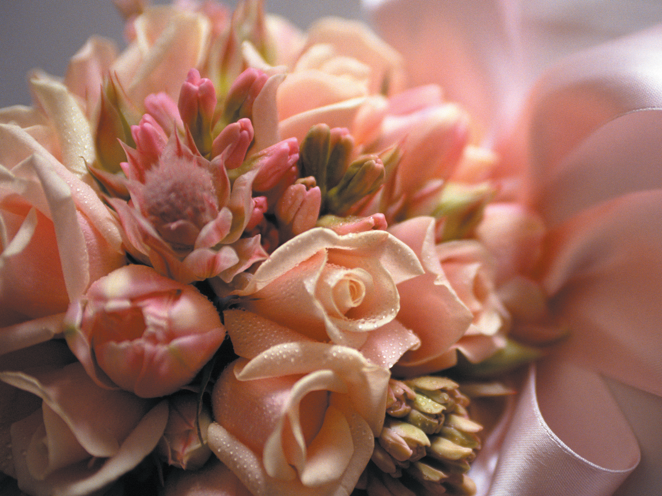 Function Accessories