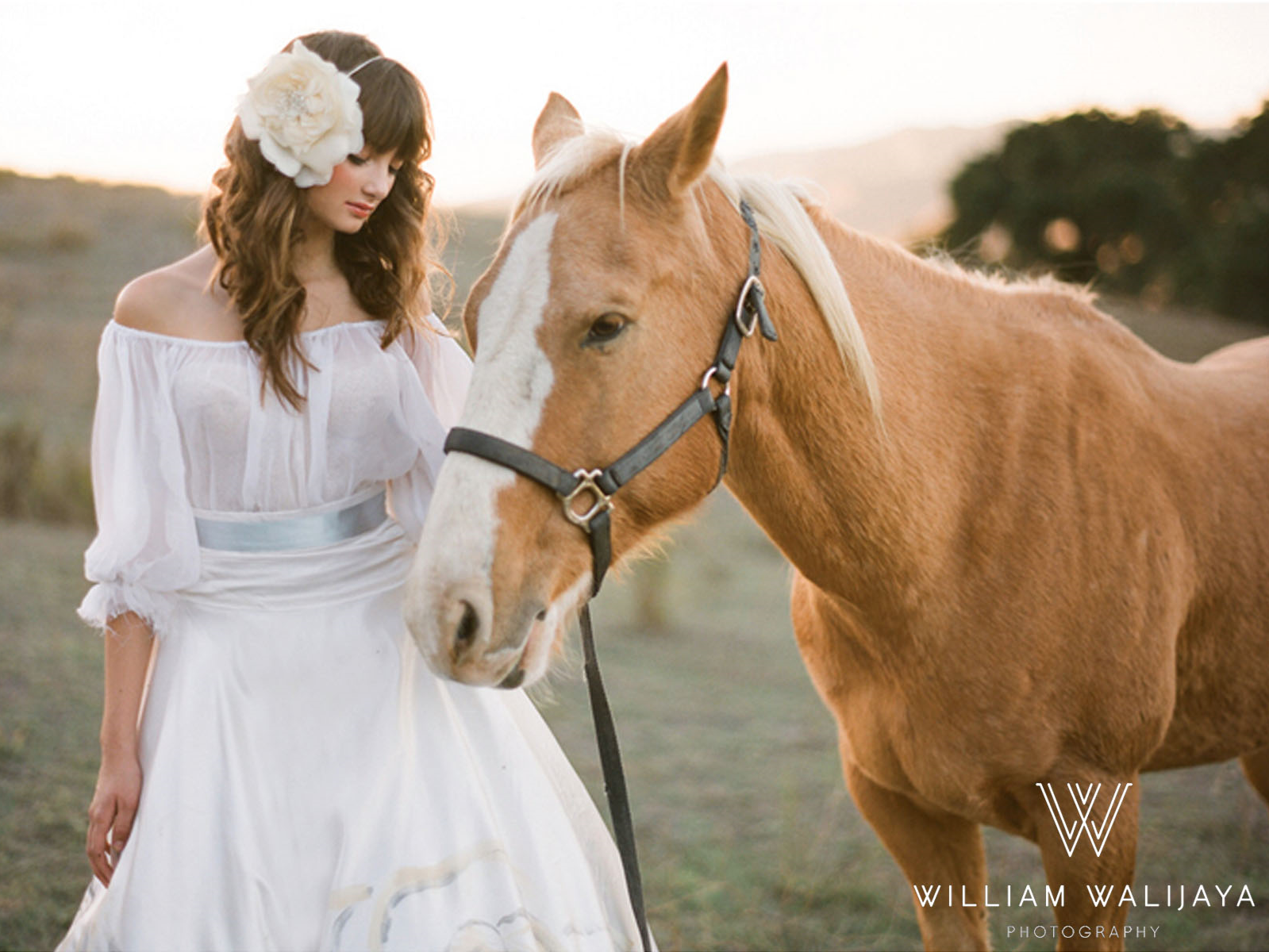 William Walijaya Photography