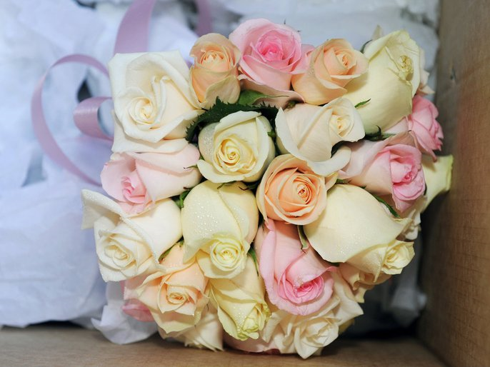 Safari's Florist & Cafe