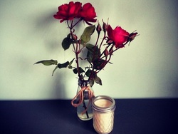 Issera Soy Candles