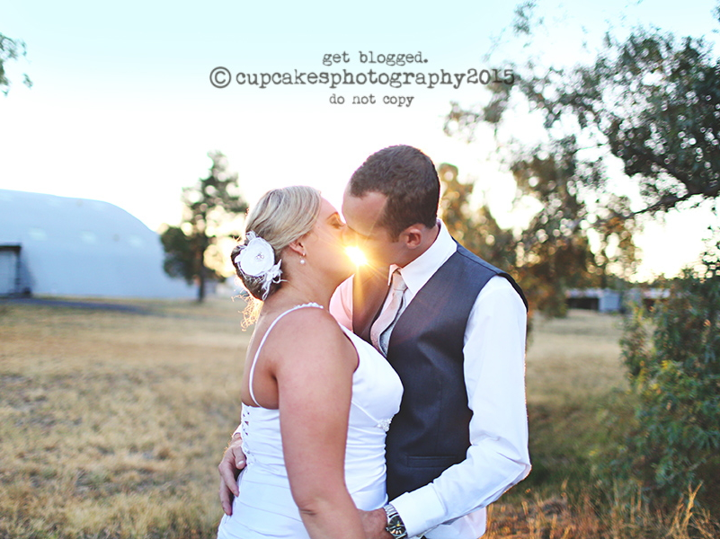 Cupcakes Photography