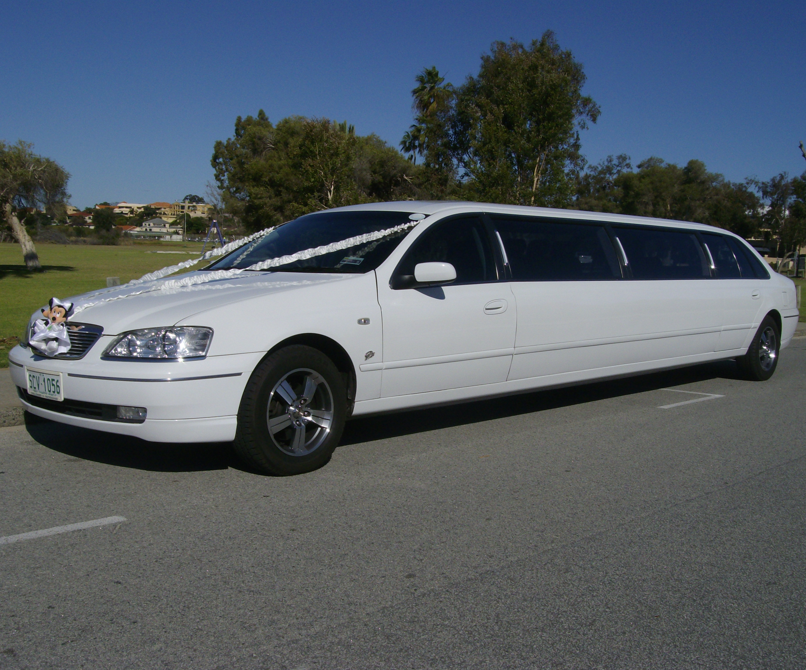 Destiny Limousines