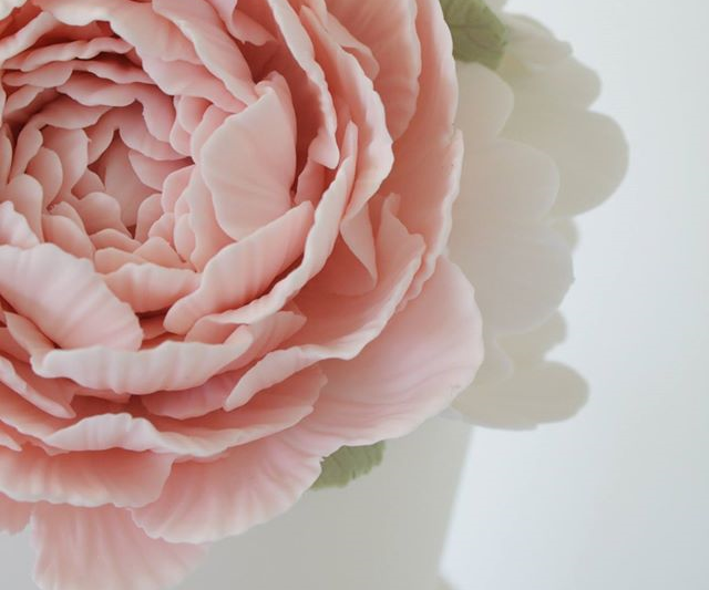 Vanilla Rose Couture Cakery, Florist & Cafe