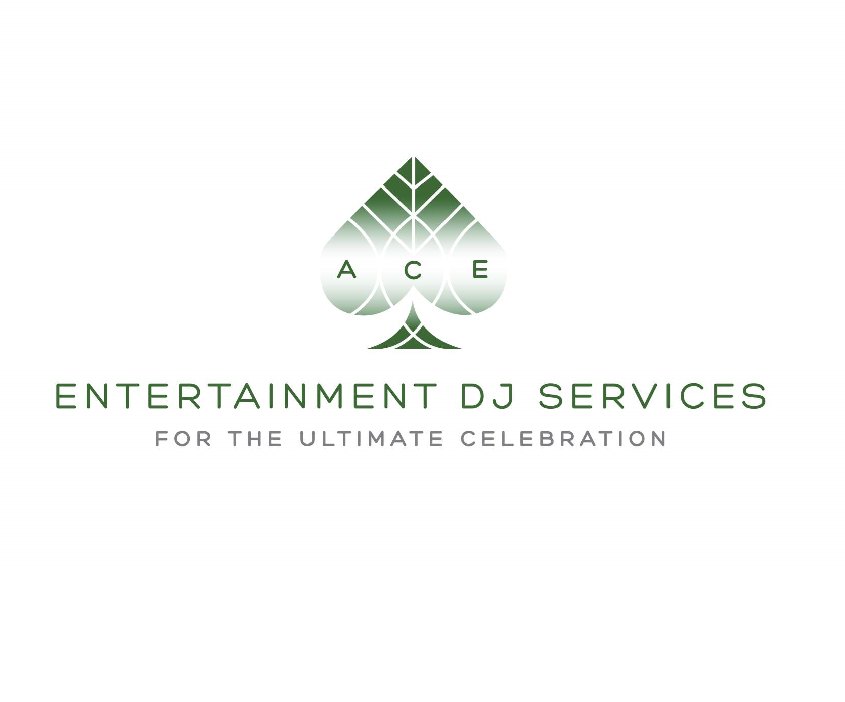 ACE Entertainment DJ Services