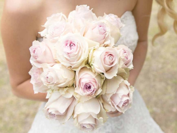 Bees N Blooms Designs