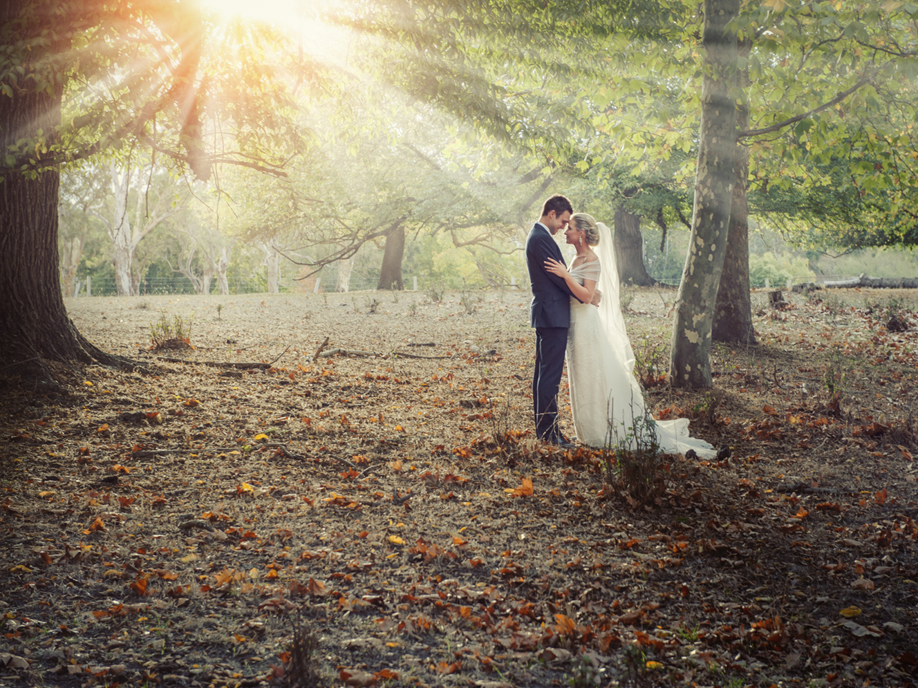 Black Duck Photography