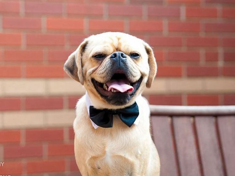 Artist's Touch Photography