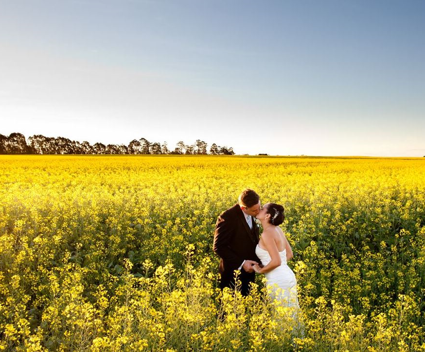 Cairns Wedding Photography - Nathan Kelly