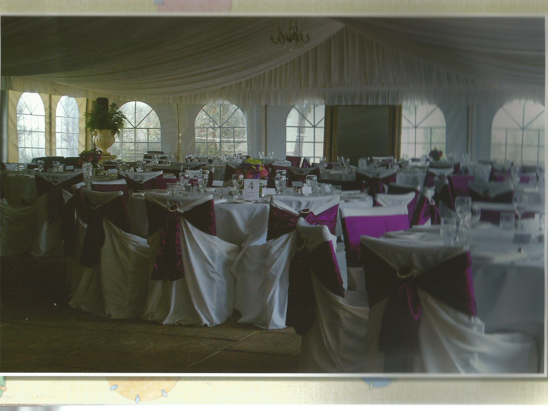 Absolute Beautiful Decor