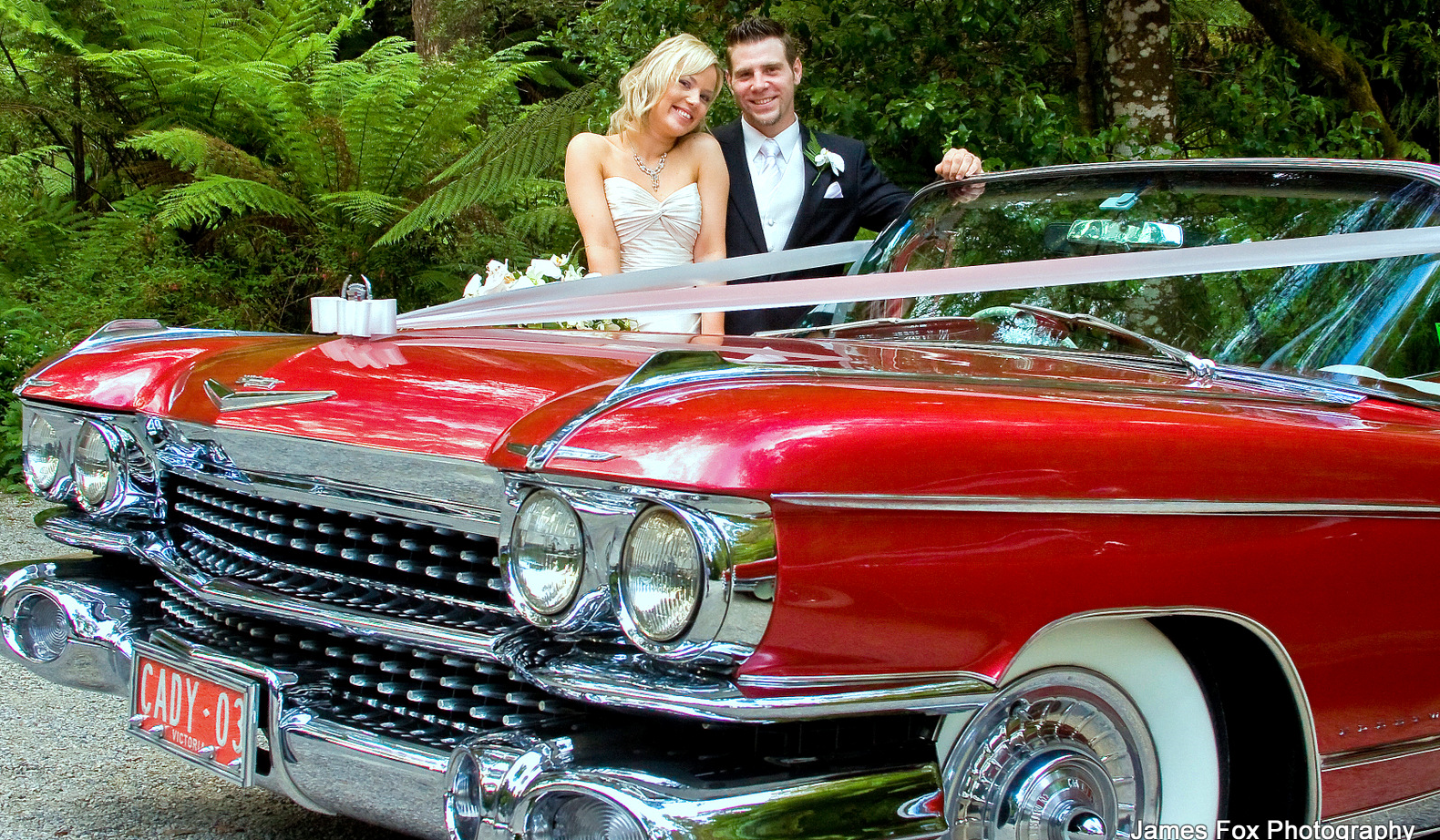 James Fox Photography