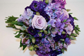 Creative Blooms