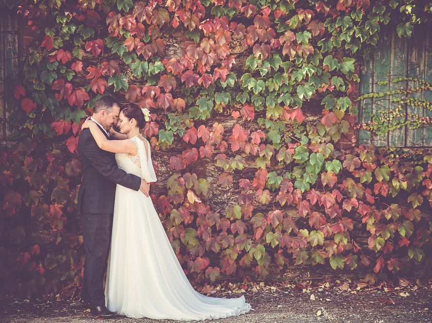 Renee Lee Weddings & Portraiture