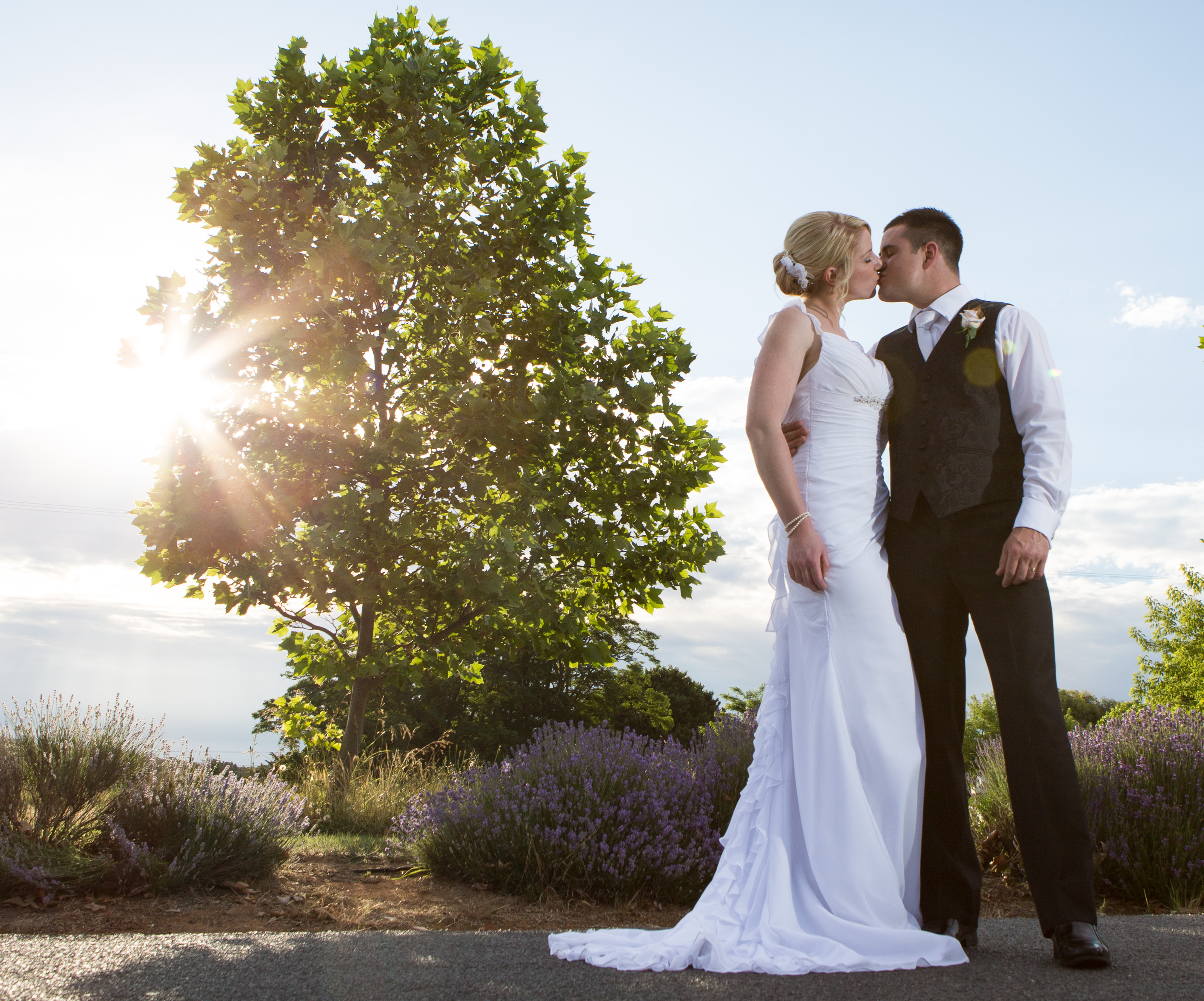 Flint at Shaw Vineyard