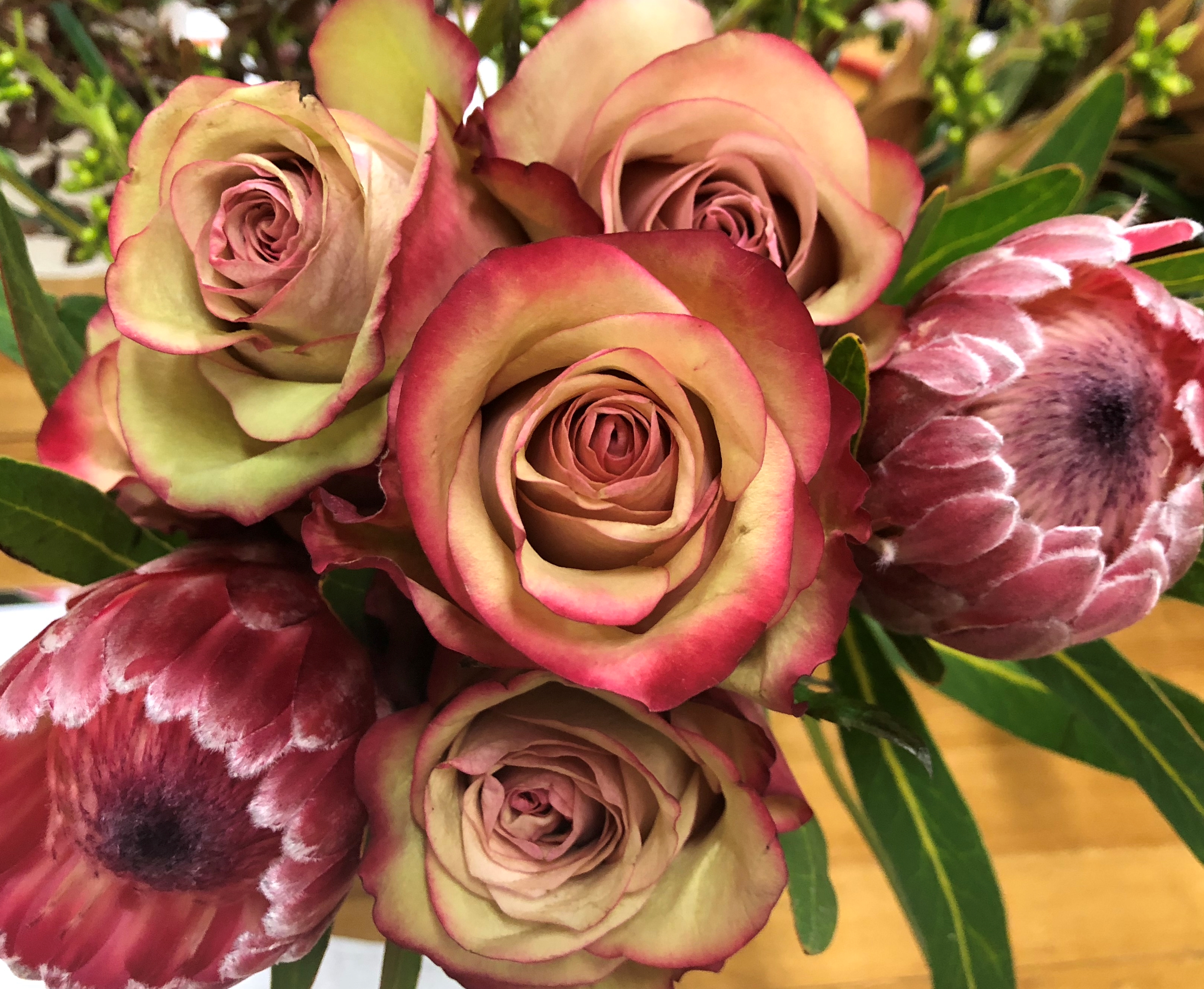 Flossy Blooms Pty Ltd