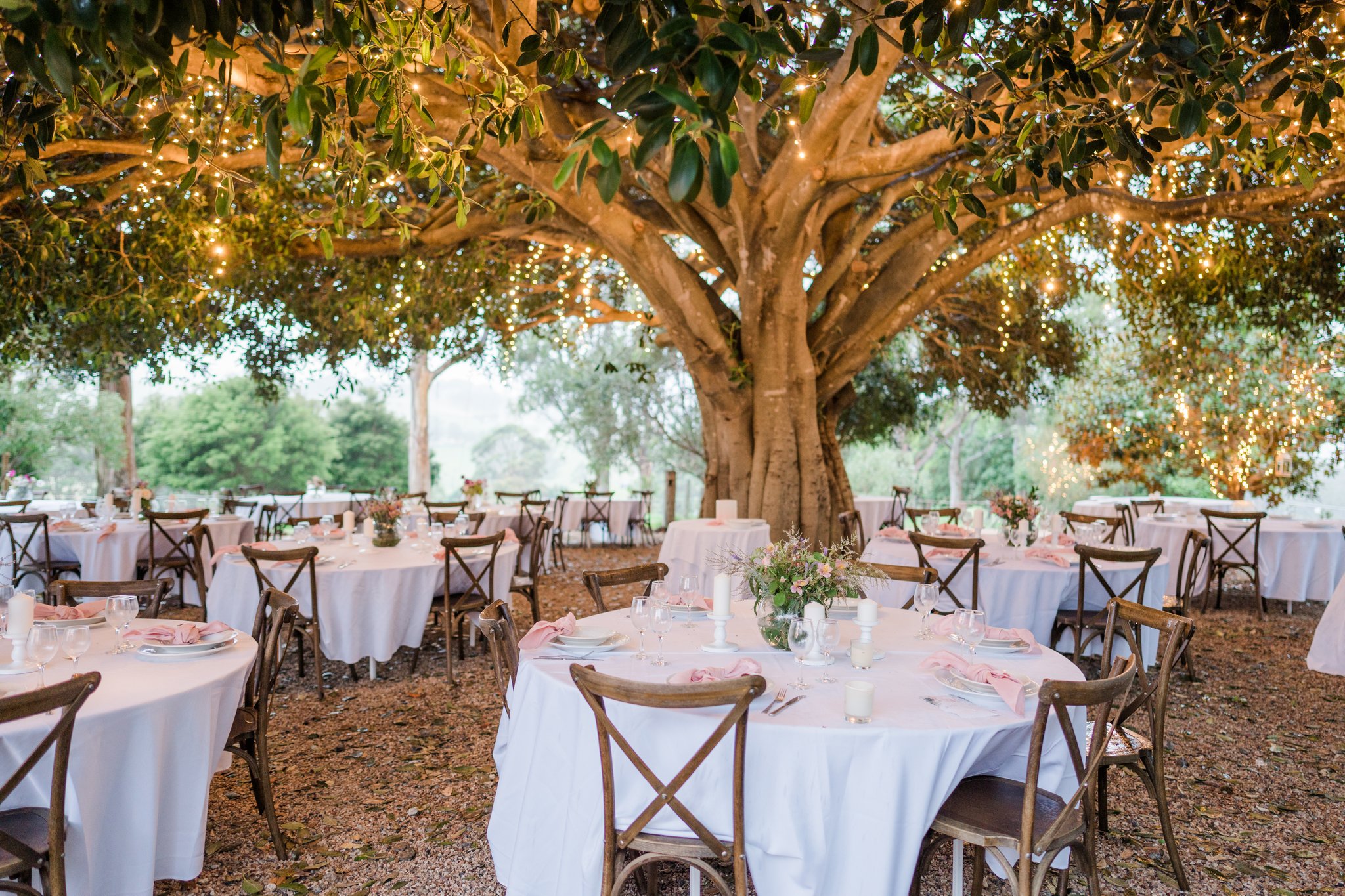 Fig Tree Park Weddings