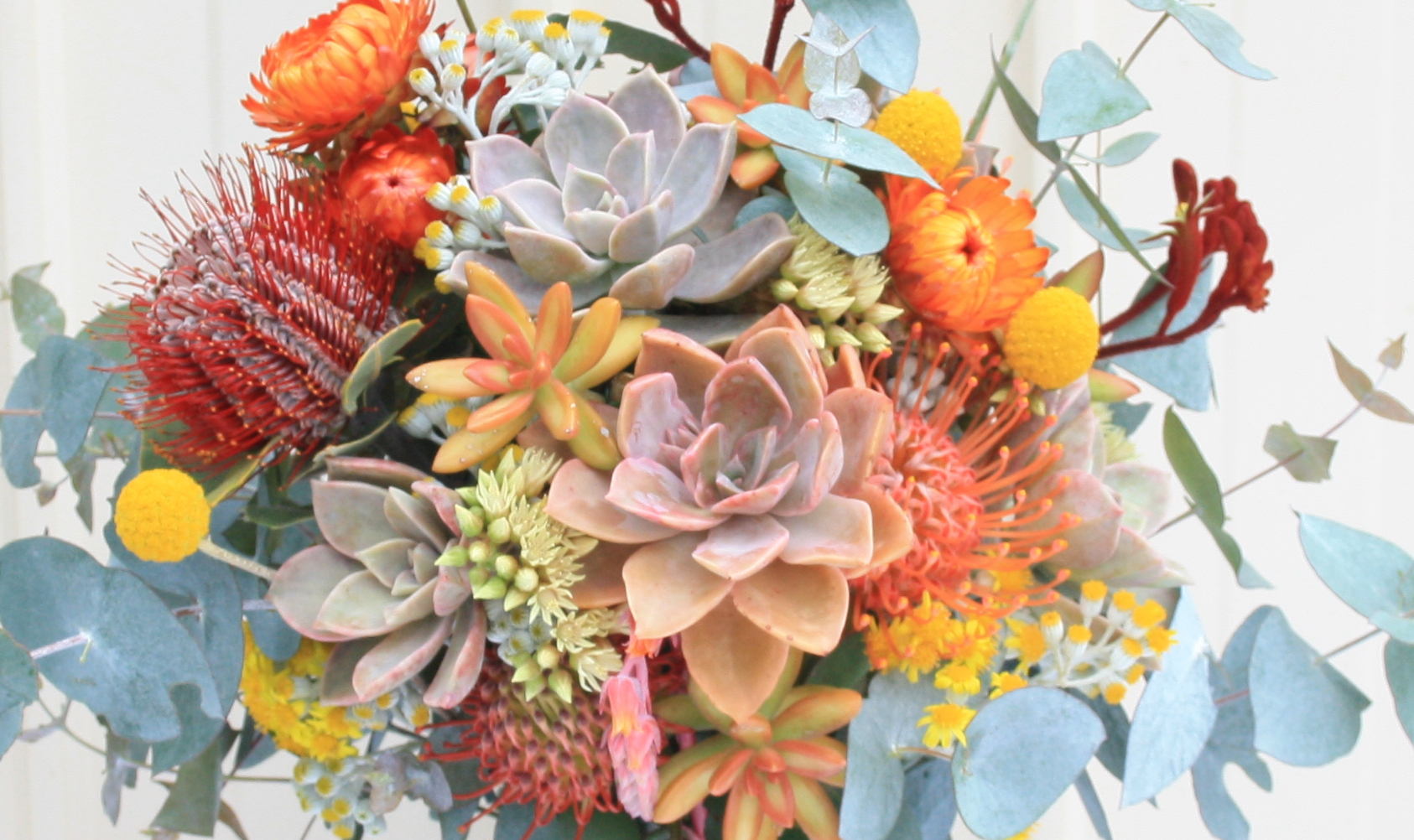 Living Bunch Succulent Arrangement