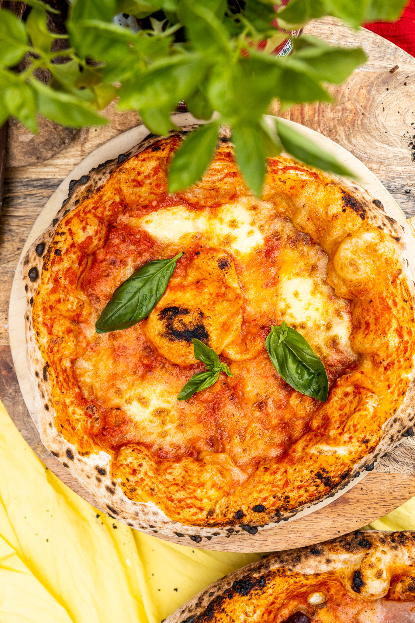 Miss Dough Pizza Catering