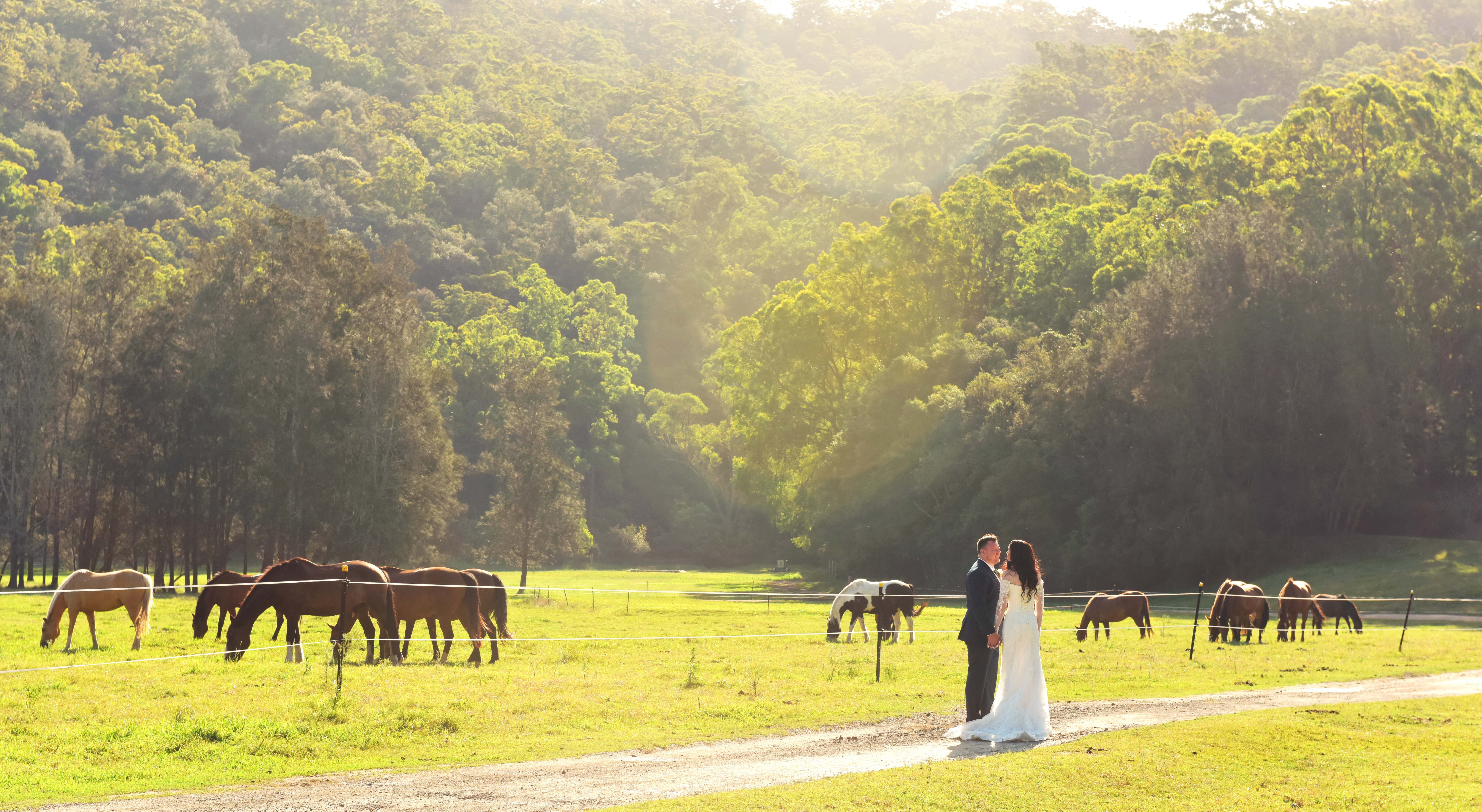 NC Wedding Productions - Photography & Films