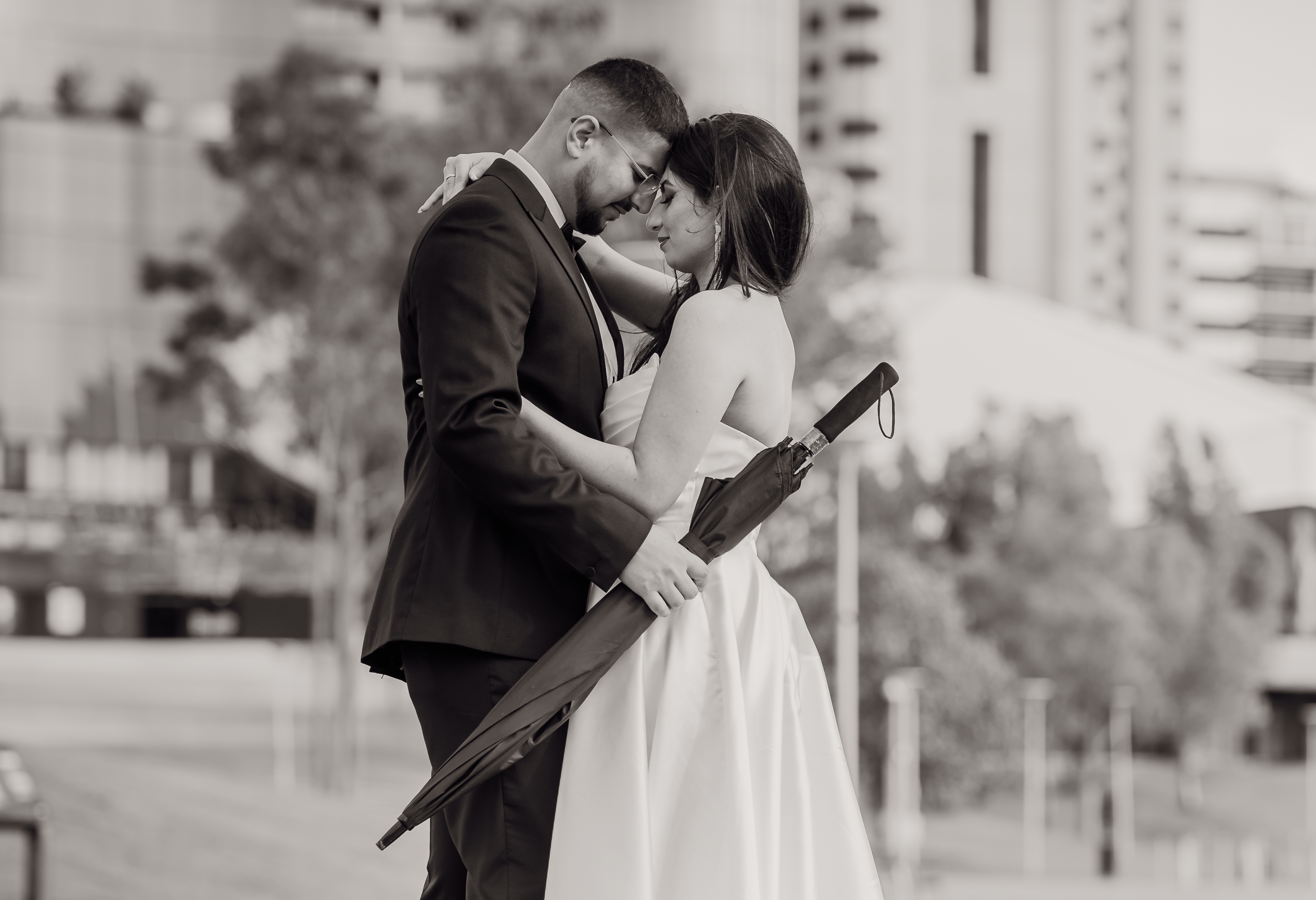 New Wings Photography by SJ