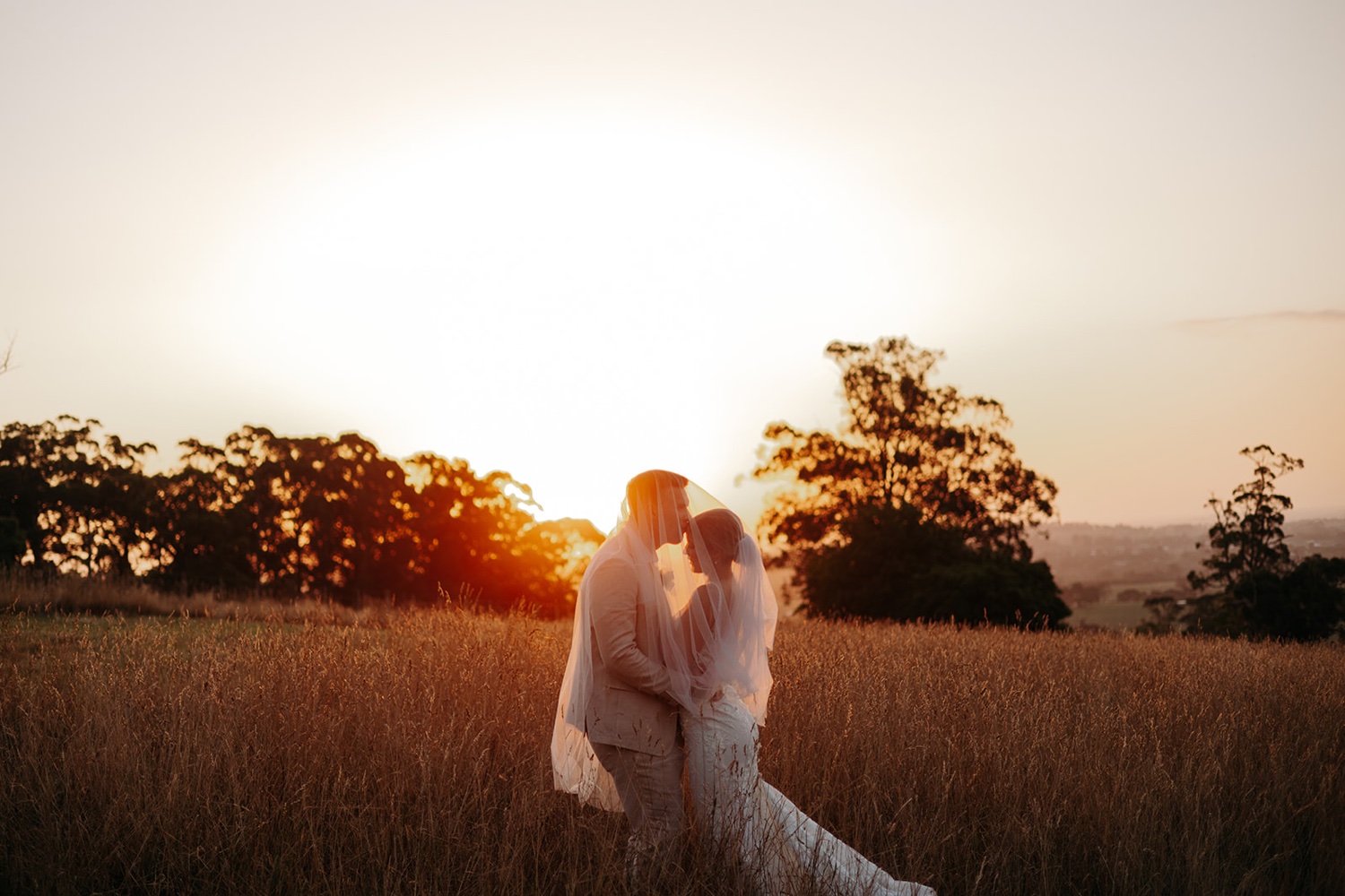 Parnassus Function Centre