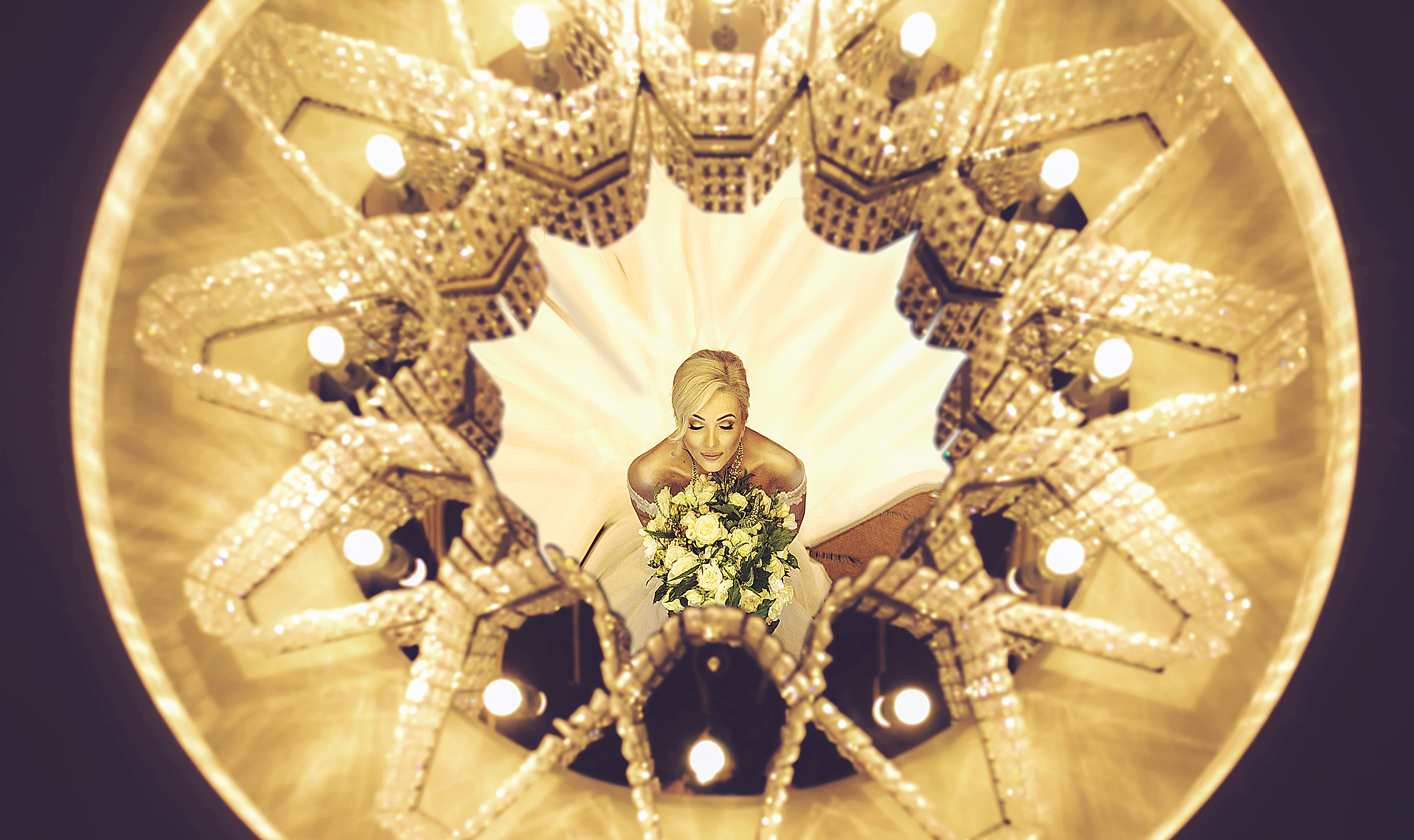 Phenomena Photography & Cinematic