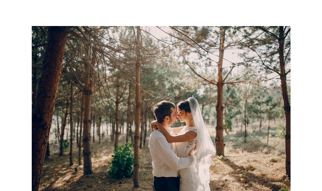 Short Sheep Farm and Micro Winery