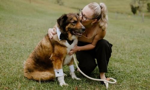 Snoots and Suits - Wedding Pet Chaperone