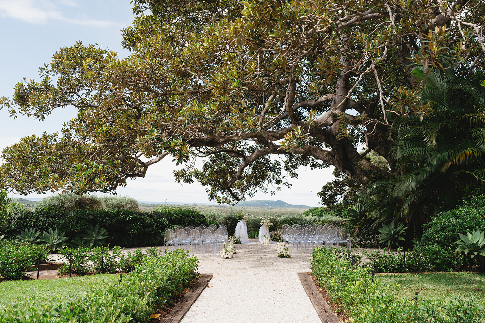 The Fig Tree Byron Bay
