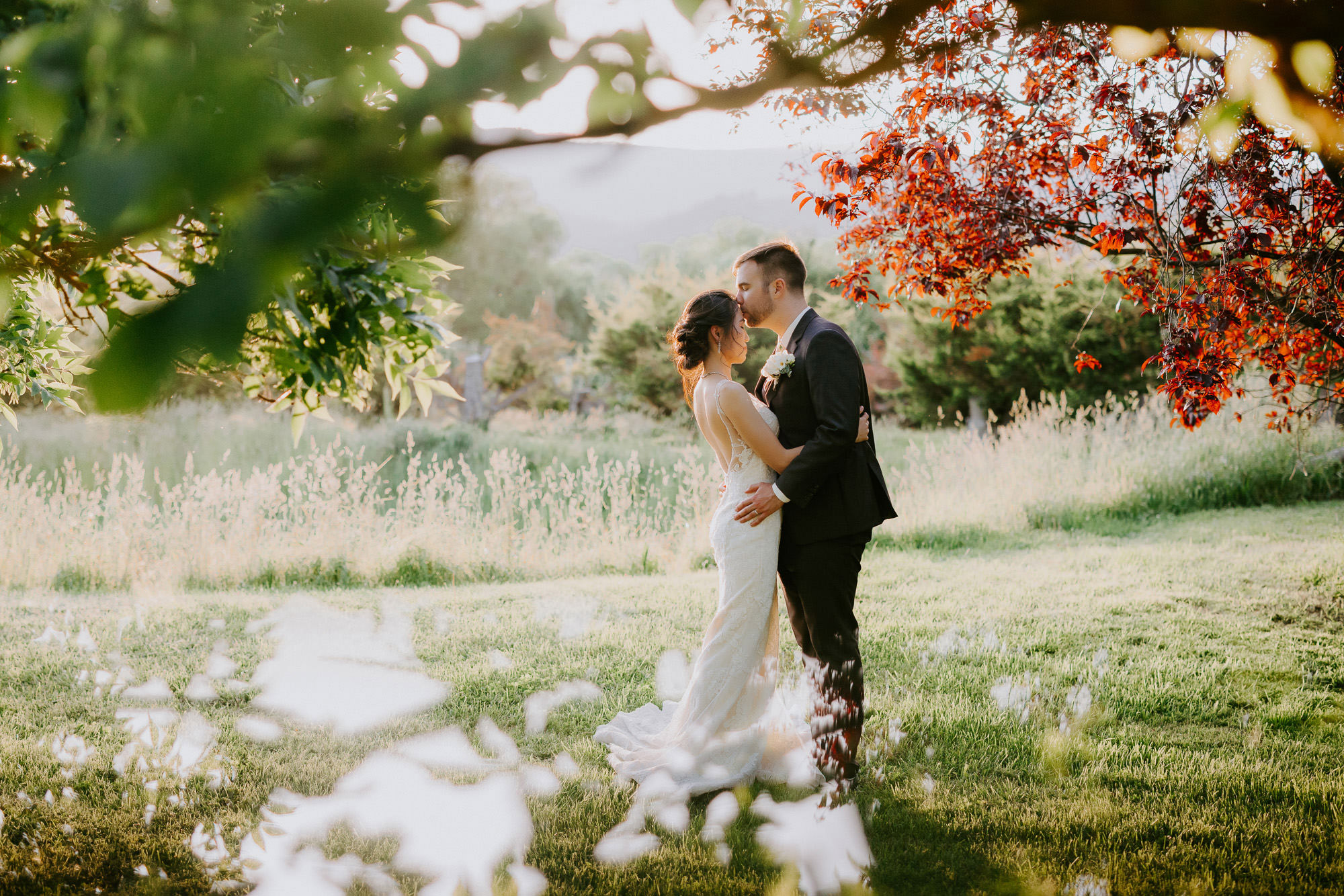 Ulla Nordwood Photography