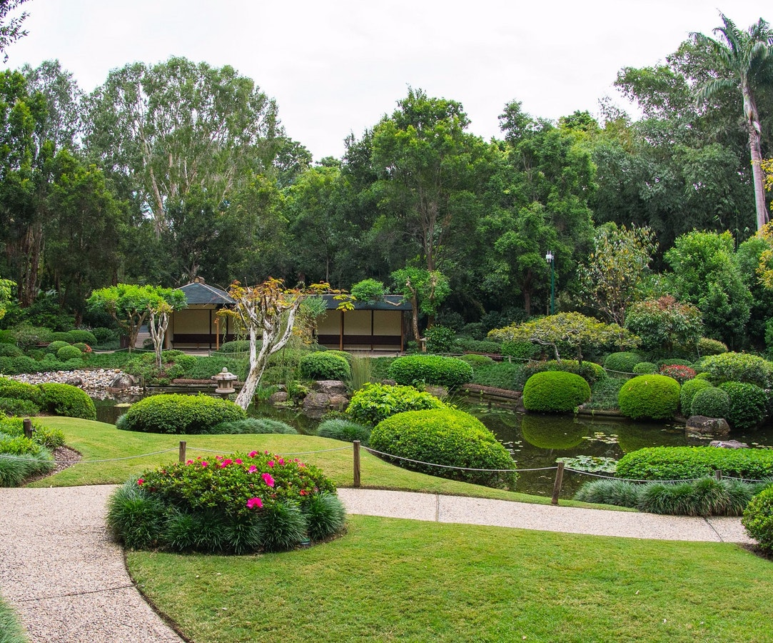 Brisbane Botanic Gardens, Mount Coot-tha