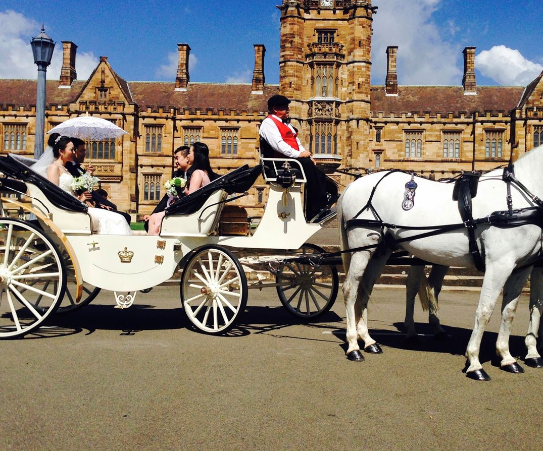 Castlecrest Wedding Carriages