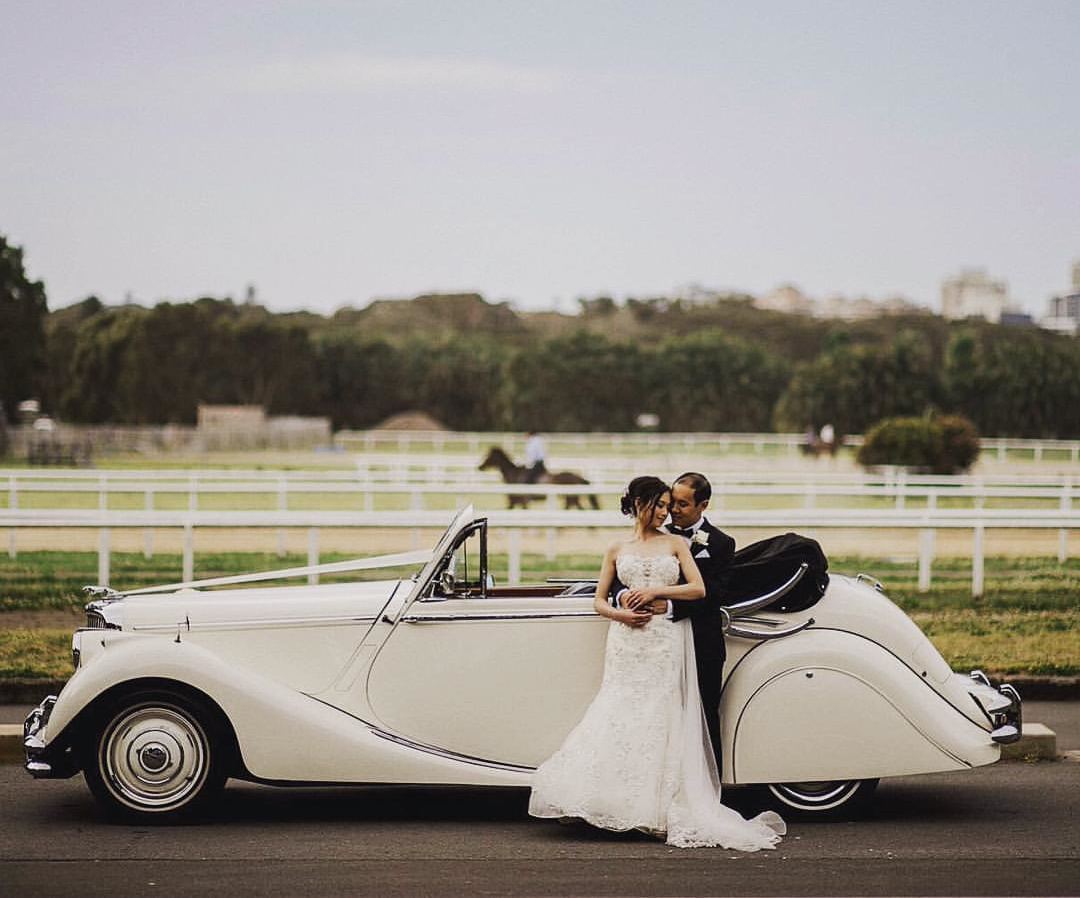 Darling Rose Classics