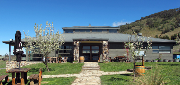 Four Winds Vineyard