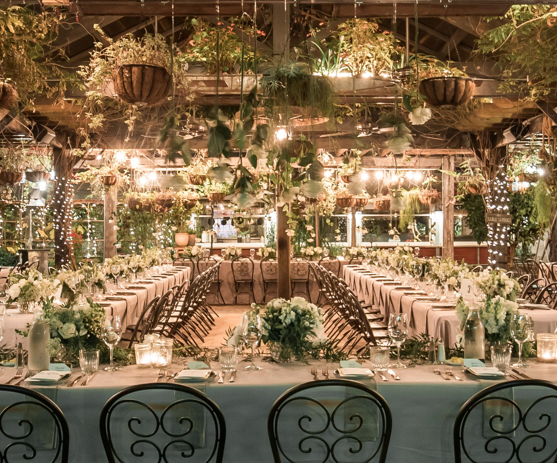 Grounds of Alexandria