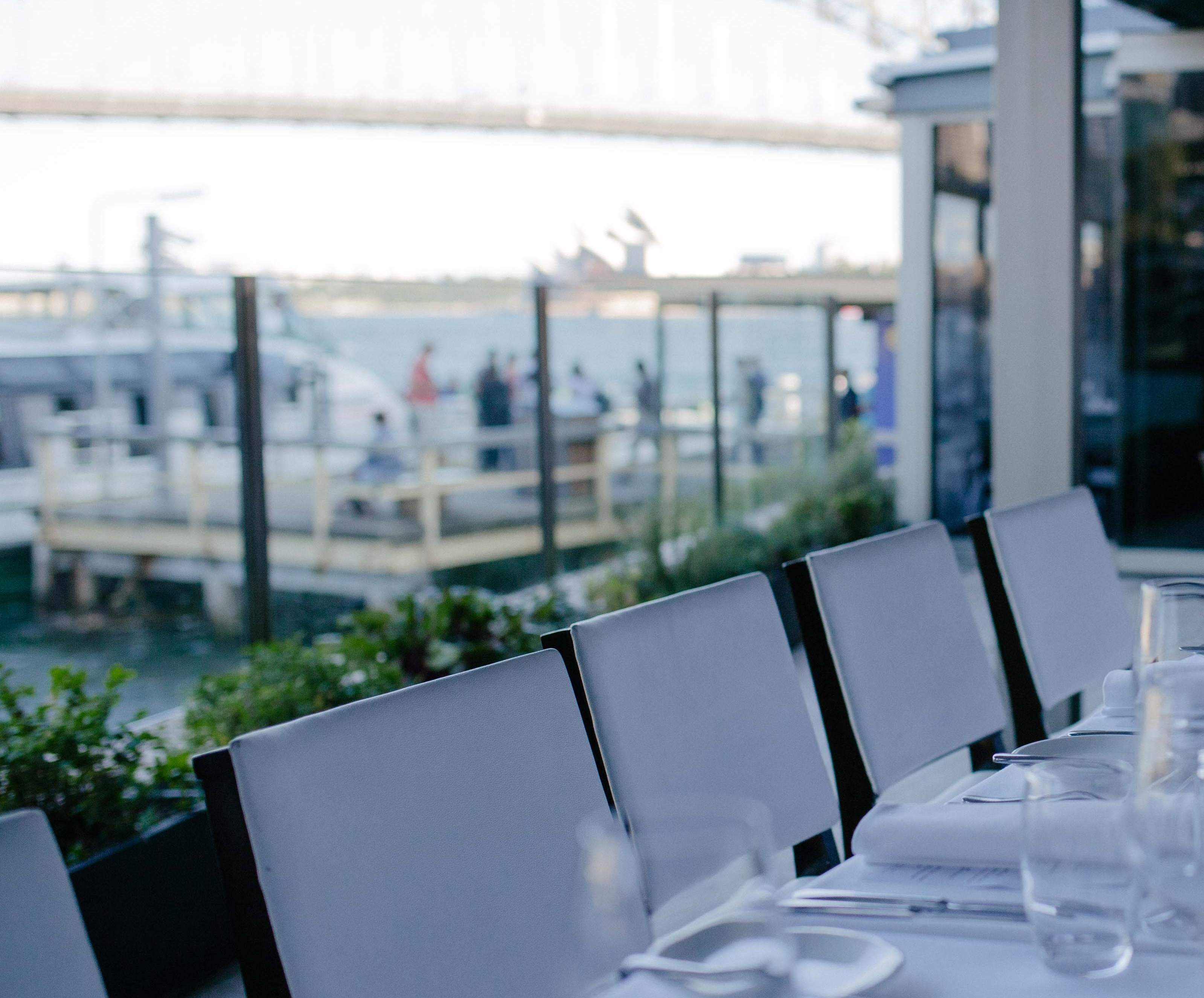 Sails on Lavender Bay