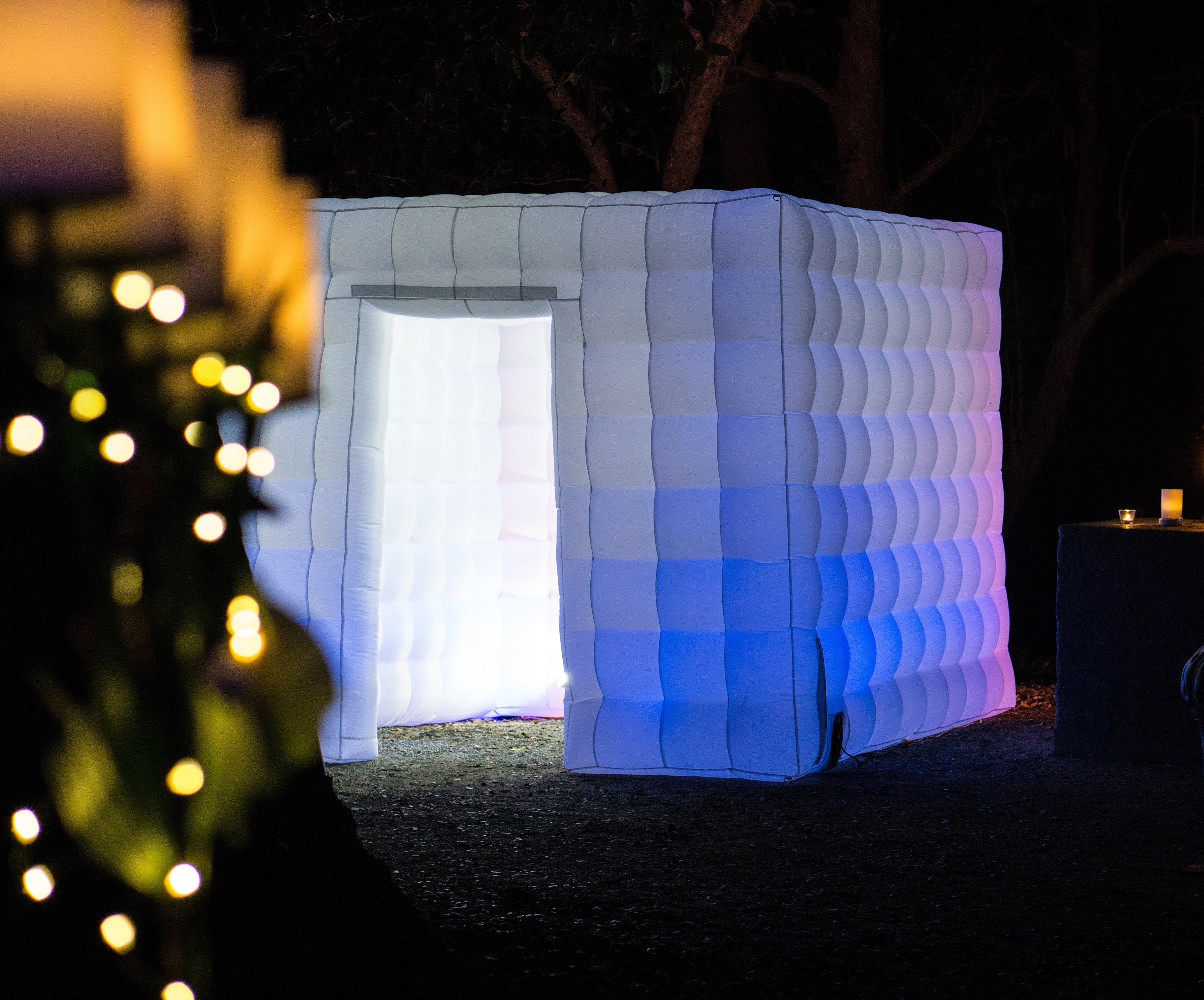 Snap and Pop Social Media