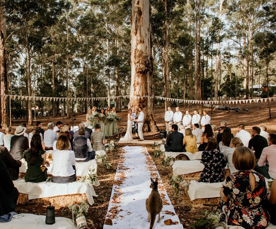 Donnelly River Village