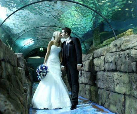 SEA LIFE Sydney Aquarium