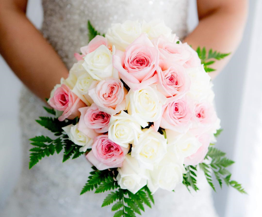 Melbourne Bridal Rose