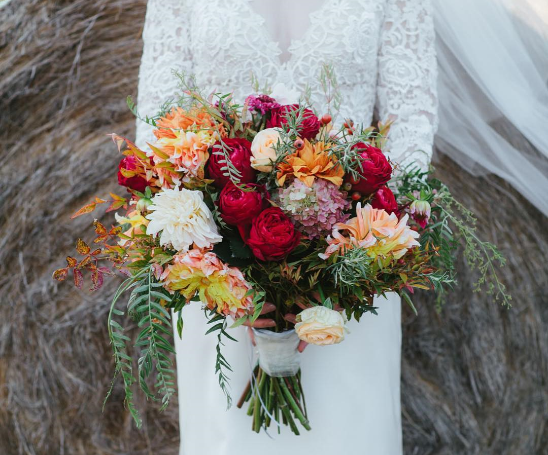Gisborne Cottage Flowers